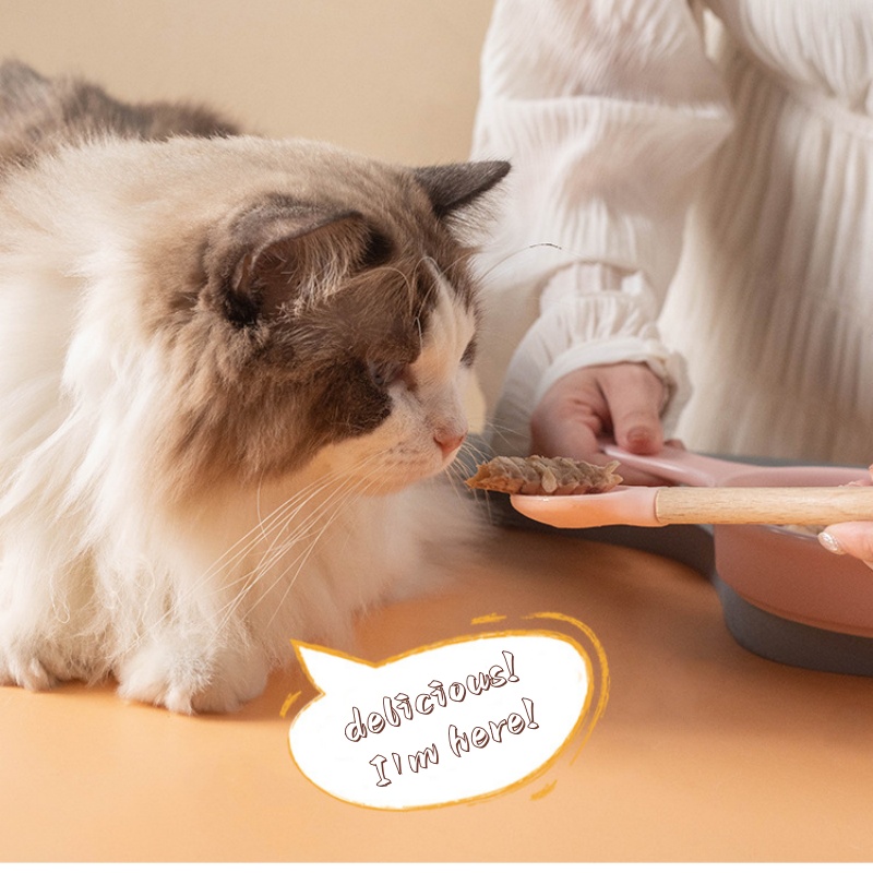 Evcil Kedi Konserve Maması Kaş - Baby Food Kitten incelemesi ve fiyatı
